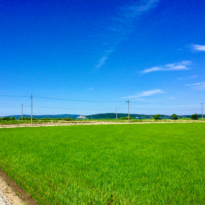 一米×インクモ | 石川県能登産コシヒカリ【精米】